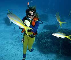 Salt water fish and diver (photo copyrighted) (Courtesy of Eden Communications.